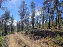 Tie perille saakka, tontit (1-4) tien oikealla puolella.