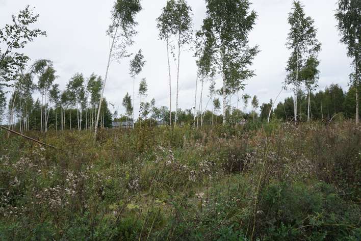 Tontti, 1 258 m², Könönpelto - Näkymä 4