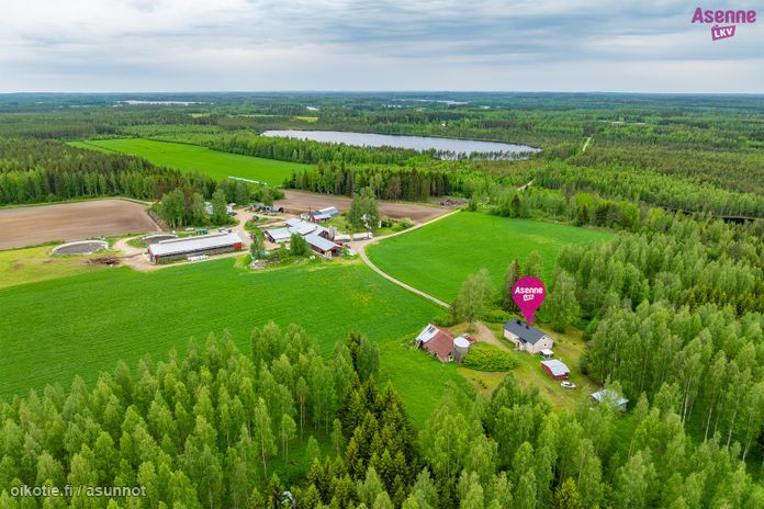 Asuntoilmoituksen kuva