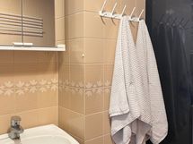 Kylpyhuoneessa on myös pesuallas