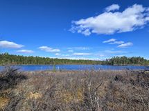 Oma ranta Ahvenjärveen