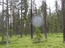 Pello, Miekojärvi, Karhumaan ranta-asemakaava