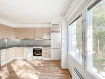Ylimmän kerroksen juuri remontoitu valoisa koti