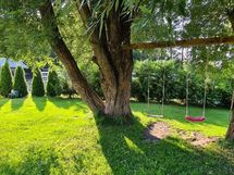 Myyjän kesäkuva pihalta