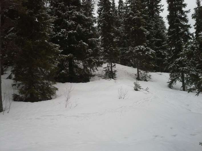 Tontti, 1 375 m², Pudasjärvi - Näkymä 3