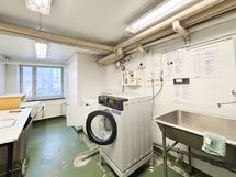 Yhtiön maksuton pesutupa