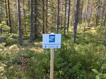 Kuhmo, Iso-Rommakkojärvi, Jauranniementie