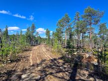Länsilaidalla naapurikiinteistölle johtava tie, joka on osittain myytävän määräalan alueella.
