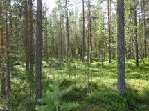 Kemijärvi, Soppela, Ketovaara