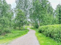 Asunnon ympärillä on kaunista puistoaluetta ja Frisbeegolfratakin löytyy läheltä