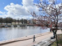 Aurajokirantaan kävelee muutamassa minuutissa.