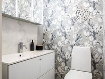 Erillinen wc