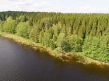 Leppävirta, Suvasvesi, Pouhansaari