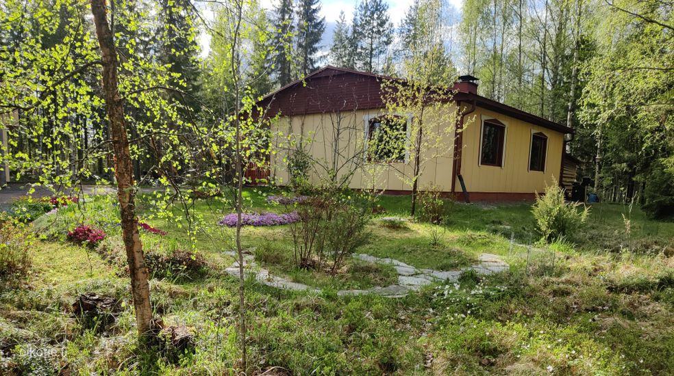 Kohdekuva