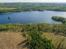 Kaavi, Rikkavesi, Luikonlahti