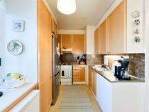 Astianpesukone ei kuulu asuntoon, mutta sen voi ostaa nykyisiltä asukkailta halutessaan.