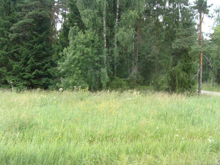 Tontti, 1 499 m², Karuna – pohled 4