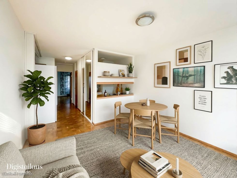 Asunnon voit sisustaa vaikkapa näin!