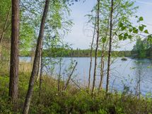 Varkaus, Miehalanjärvi, Sopalanniementie