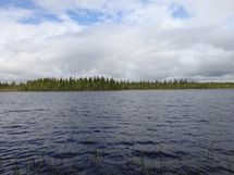 Rovaniemi-Venejärvi