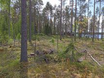 Saarijärvi, Isojärvi