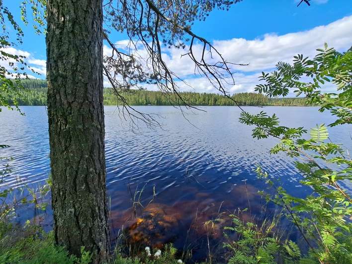 Kohdekuva