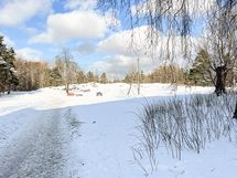 Ruskeasuon kupeessa ihana Keskuspuisto laajoine ulkoilumahdollisuuksineen.