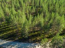 Pudasjärvi, Syöte, Pytkynharju