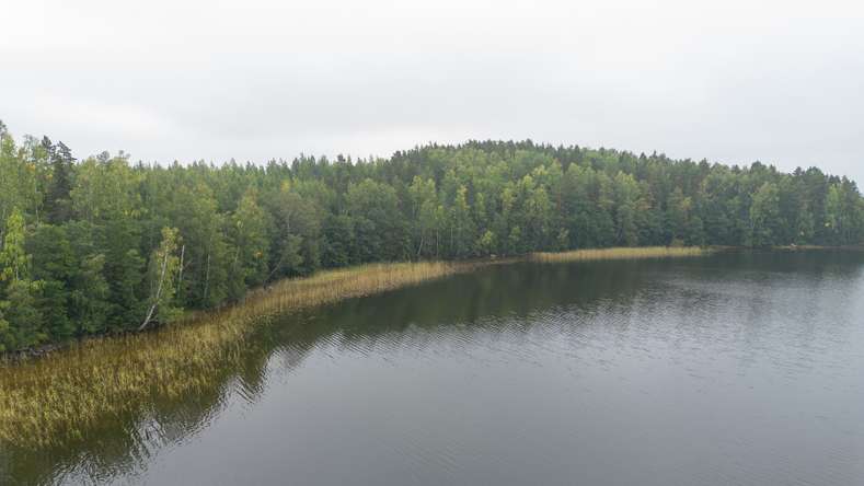 Tontti, 4 560 m², Kirkkola, Hartola