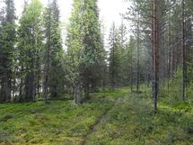Rovaniemi-Karjalanjärvi