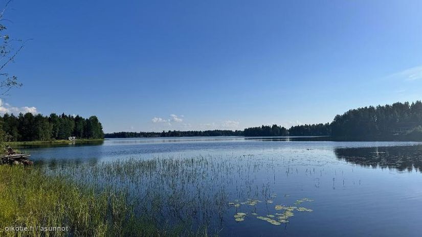 Asuntoilmoituksen kuva