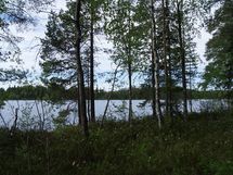 Sonkajärvi, Luomanen