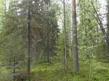 Pello, Miekojärvi, Karhumaan ranta-asemakaava