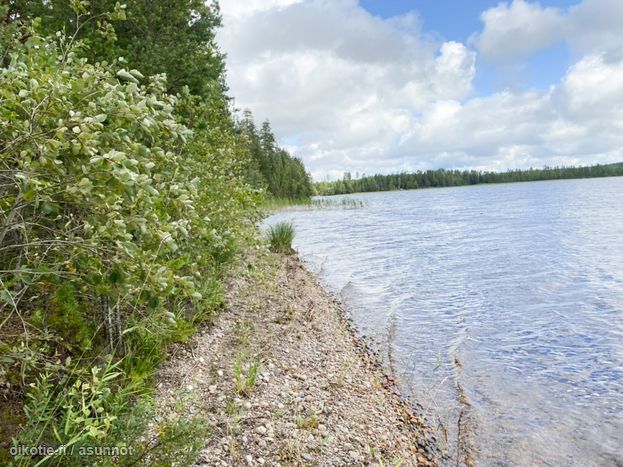 Asuntoilmoituksen kuva