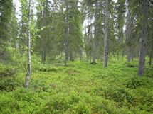 Pello, Miekojärvi, Karhumaan ranta-asemakaava