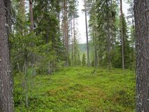 Pello, Miekojärvi, Karhumaan ranta-asemakaava