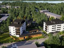 Havainnekuva