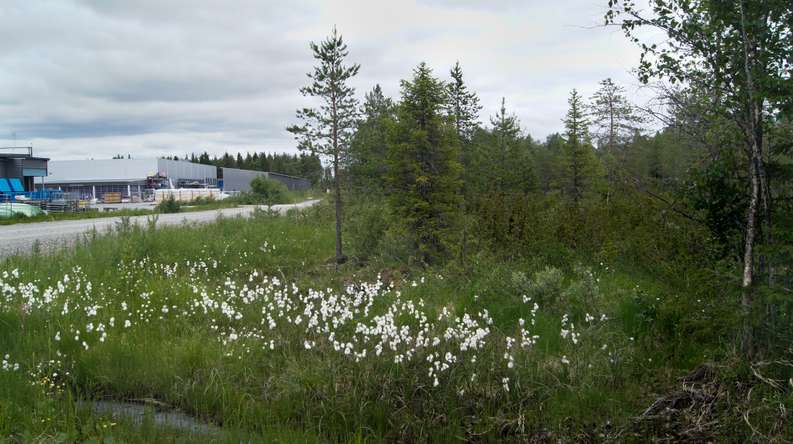 Tontti, 5 295 m², Toranki, Kuusamo