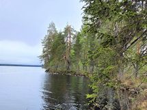 Kajaani, Laakajärvi, Haahkantie