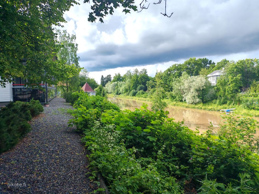 Kohdekuva