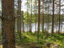 Heinävesi Pilppa Karjalansaari 