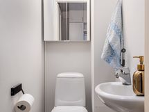 Erillinen wc