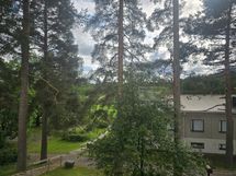 Keittiön ikkunan näkymät 25.6.2025.