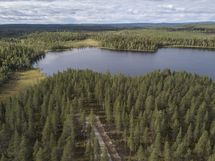 Rovaniemi-Venejärvi