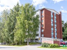 Asunto toisessa kerroksessa koivujen suojassa
