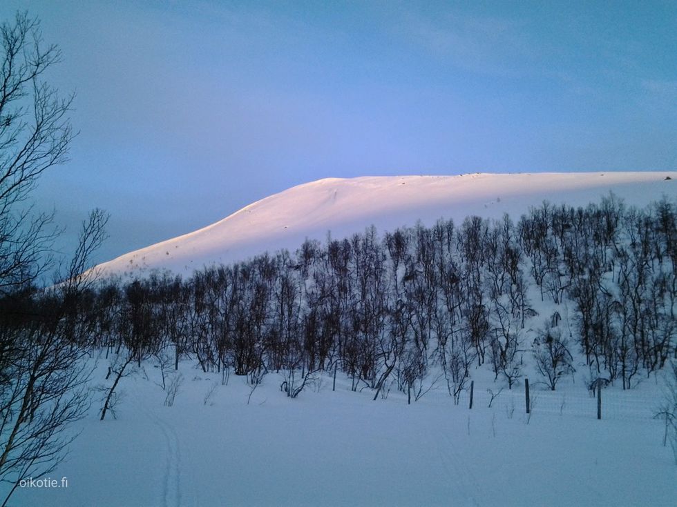 Kohdekuva