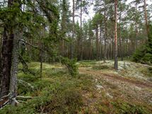 Salo, Särkisalo, Karhumäki