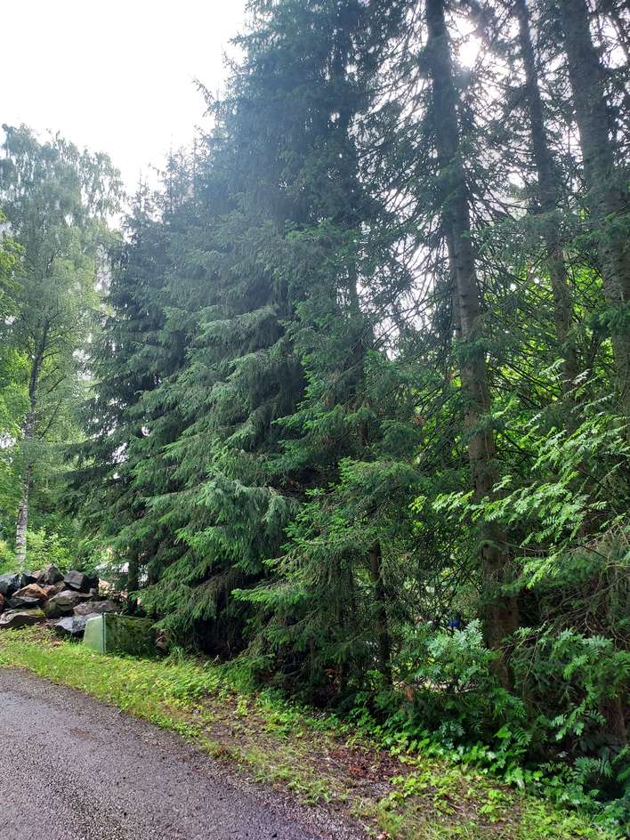 Tontti, 1 115 m², Järvelä - Näkymä 3