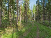 Varkaus, Miehalanjärvi, Sopalanniementie