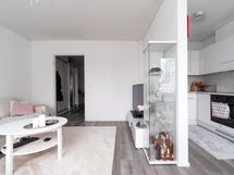 olohuonetta ja keittiötä